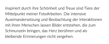 Inspiriert durch ihre Schönheit und Treue sind Tiere der Mittelpunkt meiner FotoArbeiten. Die intensive Auseinandersetzung und Beobachtung der Interaktionen mit ihren Menschen lassen Bilder entstehen, die zum Schmunzeln bringen, das Herz berühren und als bleibende Erinnerungen nicht vergehen. 